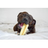 Bâtonnet de fromage à mâcher 100 % naturel (Grands Chiens)