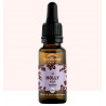Fleur de Bach Holly 20 ml (Houx)