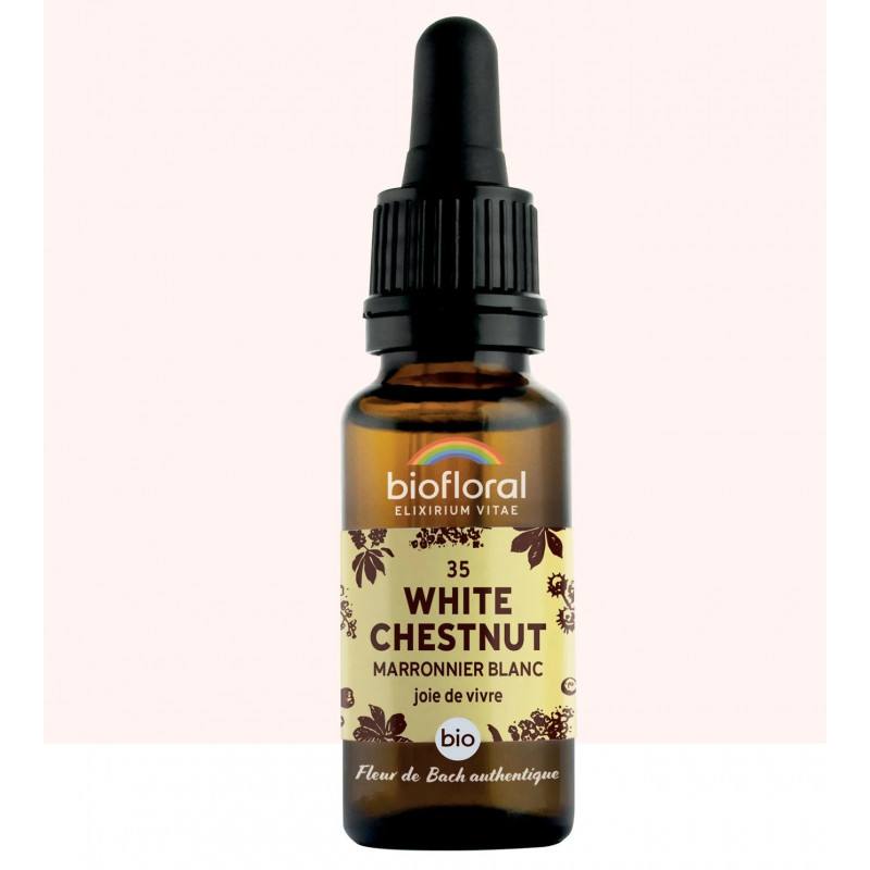 Fleur de Bach White Chestnut 20 ml (Marronnier blanc)
