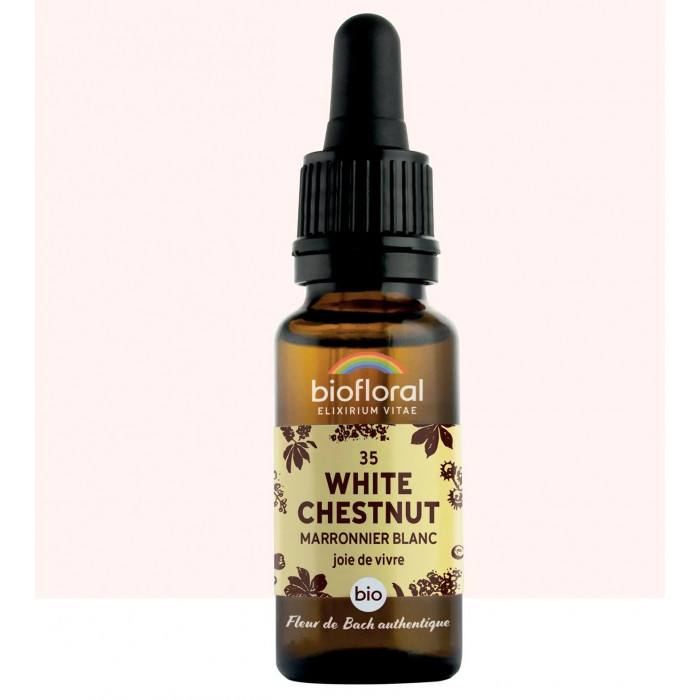 Fleur de Bach White Chestnut 20 ml (Marronnier blanc)