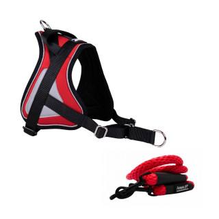 -10% Kit Sellerie – Harnais Reflex Rouge + Laisse Double Connexion ANIMALIN