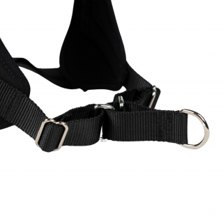 Harnais Animalin® CLASSIC Noir - De XXS à XXL