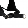 Harnais Animalin® CLASSIC Noir - De XXS à XXL