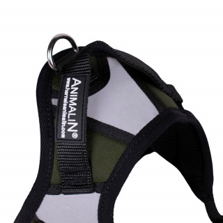 -10% Kit Harnais Animalin® REFLEX PLUS Kaki + Laisse Renforcée ANIMALIN 120 cm (4 tailles)