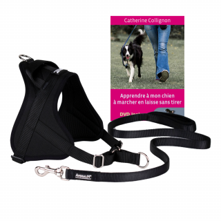 Kit Harnais Classic 3 couleurs + Laisse assortie + Livre “Apprendre à mon chien à marcher en laisse sans tirer”