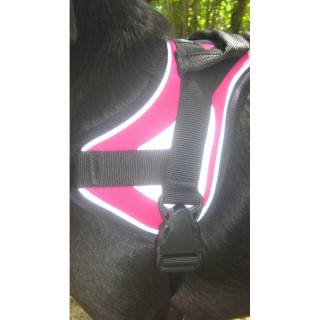 Reflex Fuschia – XXL – Harnais de marche en laisse