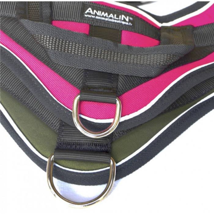 Reflex Fuschia – XXL – Harnais de marche en laisse