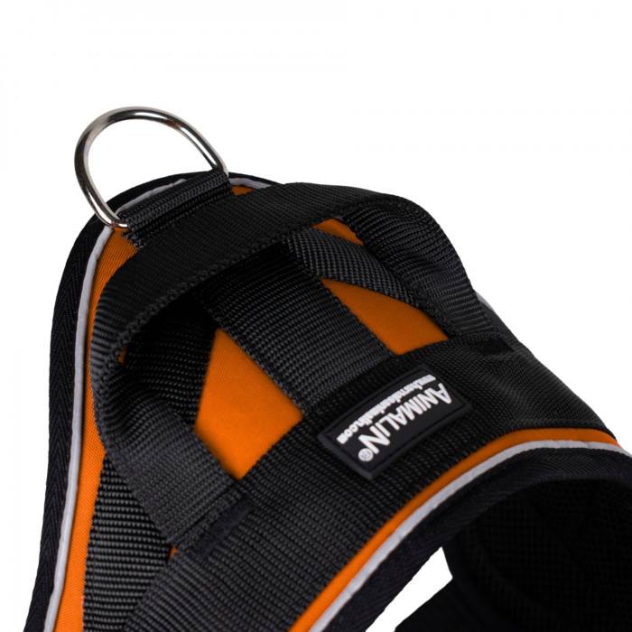 Reflex Orange – XXL – Harnais de marche en laisse