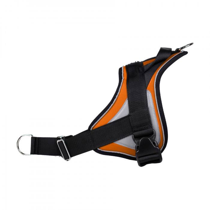 Reflex Orange – XXL – Harnais de marche en laisse