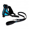 Kit REFLEX Bleu (5 tailles) + laisse 1m20