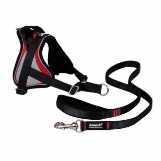 Kit REFLEX Rouge – 5 tailles + Laisse – 1m20 + Livre OFFERT