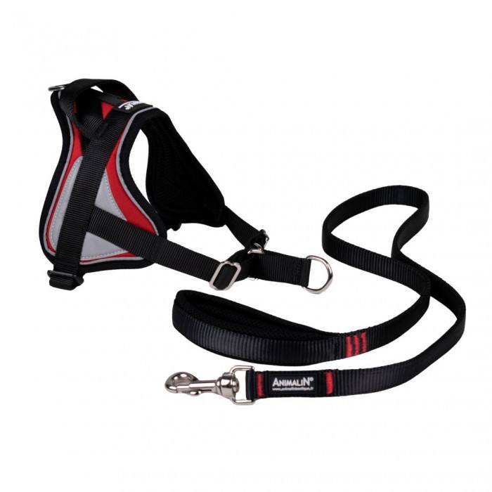Kit REFLEX Rouge – 5 tailles + Laisse – 1m20 + Livre OFFERT