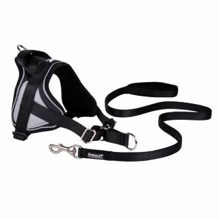 Kit REFLEX Noir – 5 tailles + Laisse – 1m20 + Livre OFFERT