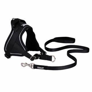 Kit REFLEX Noir – 5 tailles + Laisse – 1m20 + Livre OFFERT