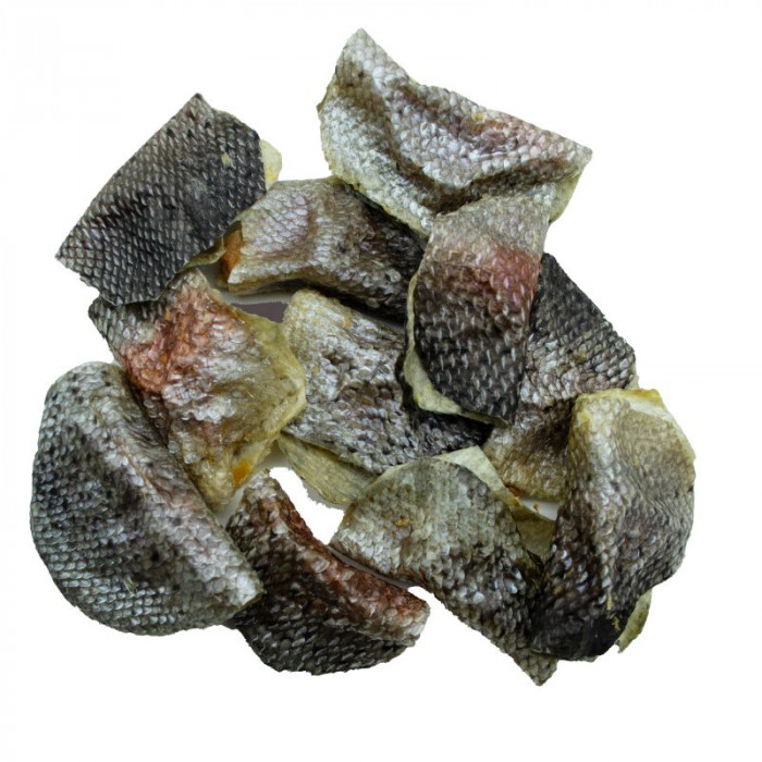 Tacos de saumon (5 pièces)