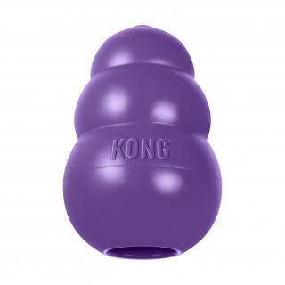 KONG Senior (Medium)