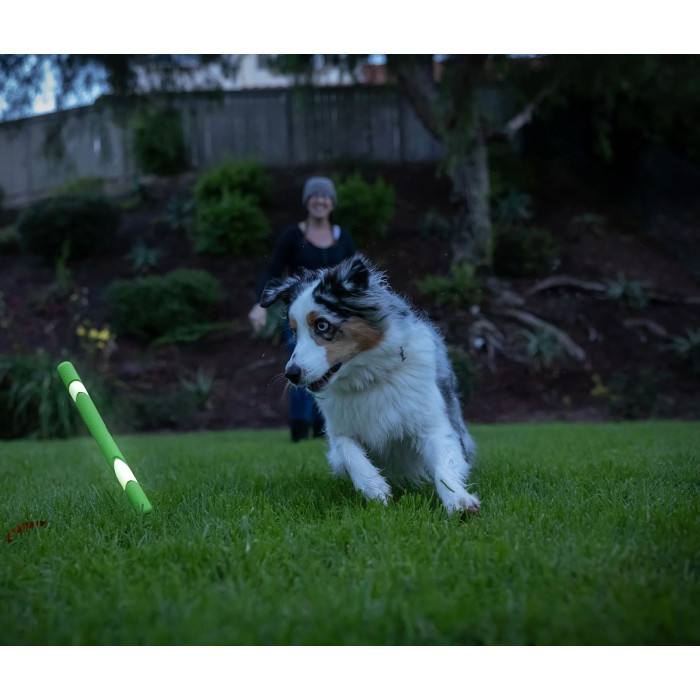 Bâton de caoutchouc luminescent (Chuckit! Max Glow Ultra Fetch Stick)