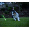 Bâton de caoutchouc luminescent (Chuckit! Max Glow Ultra Fetch Stick)