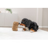 Capybara en peluche – 2 tailles