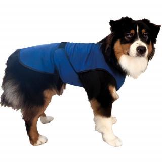 Veste rafraîchissante pour chiens (4 tailles)