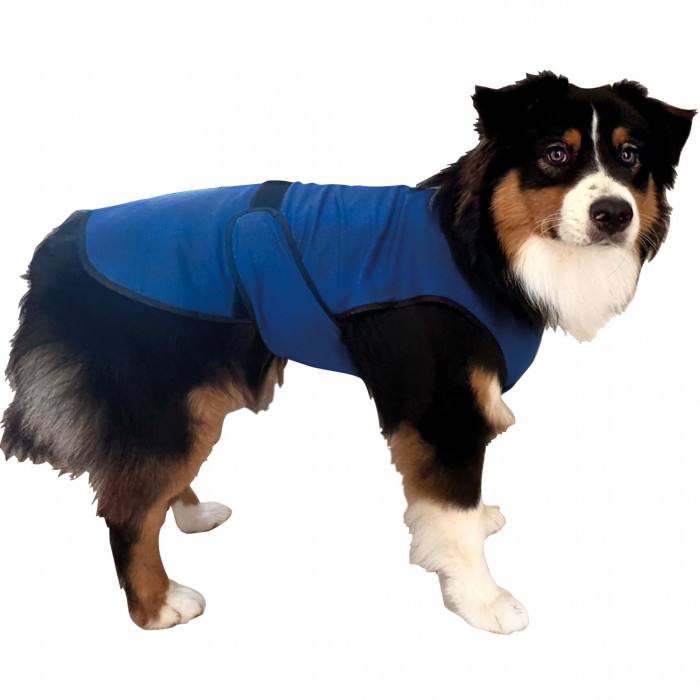 Veste rafraîchissante pour chiens (4 tailles)