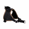 Classic Noisette – 6 tailles – Harnais de marche en laisse