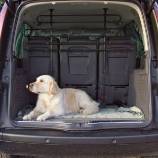 Grille de protection ajustable pour voiture
