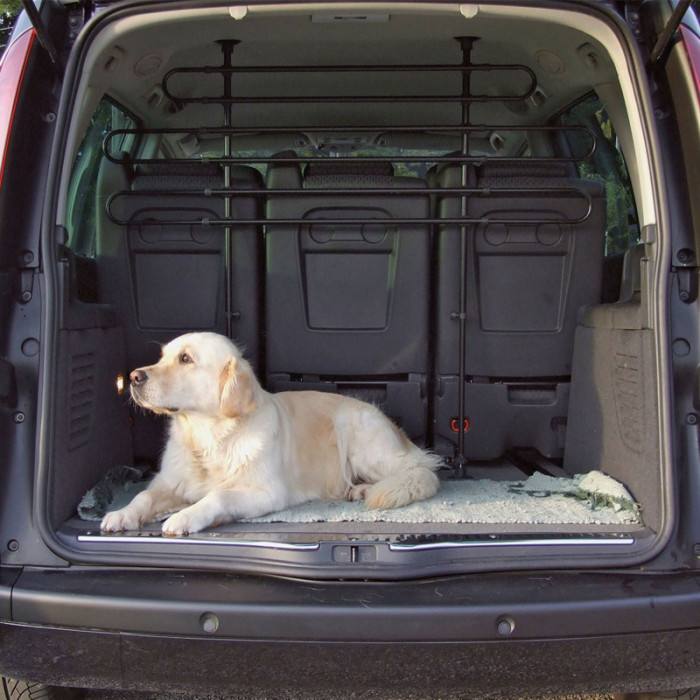 Grille de protection ajustable pour voiture