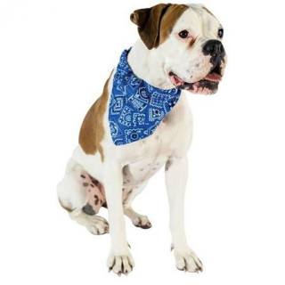 Collier Bandana réglable pour chien (2 tailles)