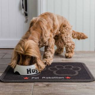 Tapis de repas (Dinner Mate Food Mat)