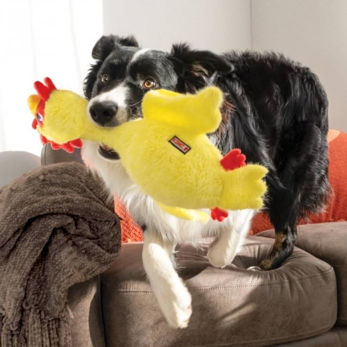 Peluche KONG Scruffs – Taille et Coloris unique