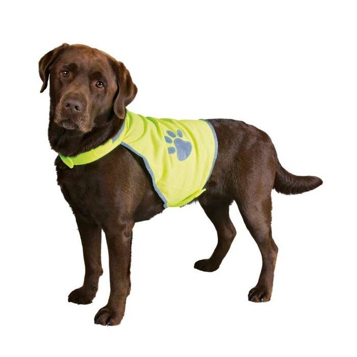 Gilet de sécurité réfléchissant pour chiens (3 tailles)