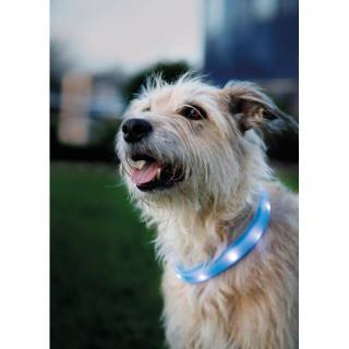 Collier lumineux Flash USB pour chiens à poils longs (2 tailles)