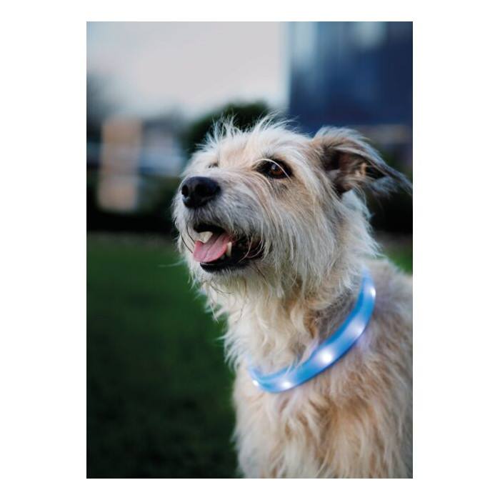 Collier lumineux Flash USB pour chiens à poils longs (2 tailles)