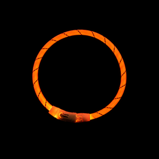 Collier anneau lumineux Flash USB (3 tailles)