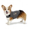 Thundershirt