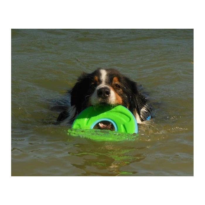 CHUCK IT - Frisbee flottant Zipflight pour chien