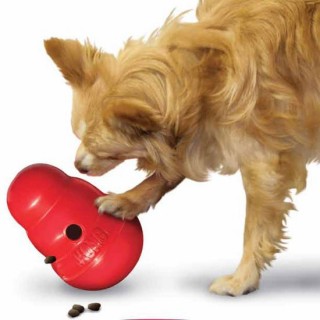Kong online wobbler l