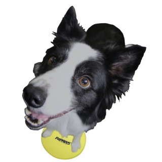 Fitpaws Target Cibles