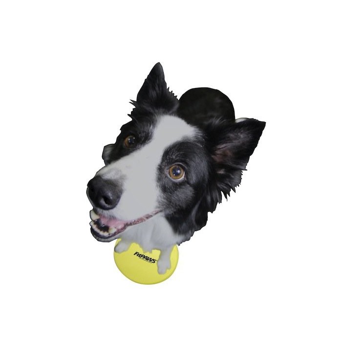 Fitpaws Target Cibles