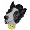 Fitpaws Target Cibles