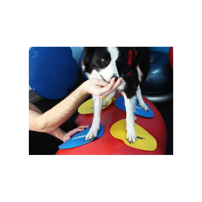 Fitpaws Target Cibles