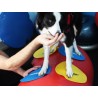 Fitpaws Target Cibles