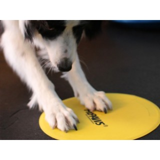 Fitpaws Target Cibles