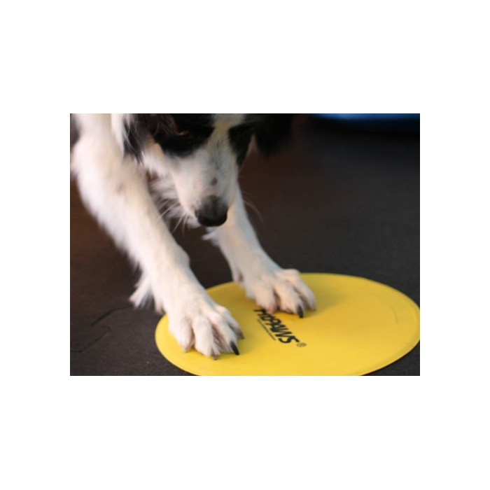 Fitpaws Target Cibles