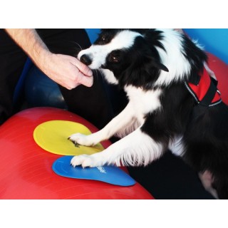 Fitpaws Target Cibles