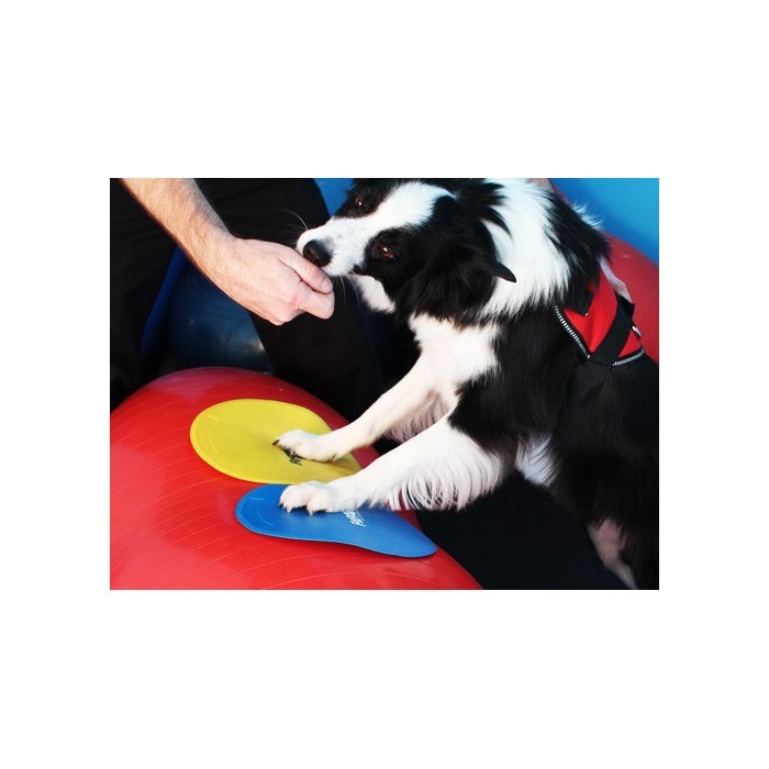 Fitpaws Target Cibles