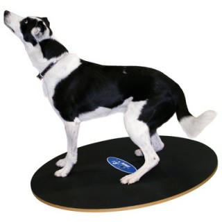 Planche d’équilibre FitPAWS® (FitPAWS® Wobble Board)