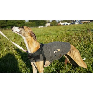 Thundershirt