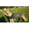 Thundershirt